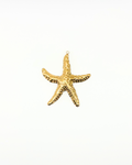 Charm Estrella Grande